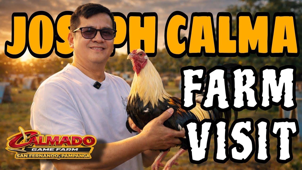 Silipin Ang loob  Ng calmado gamefarm 