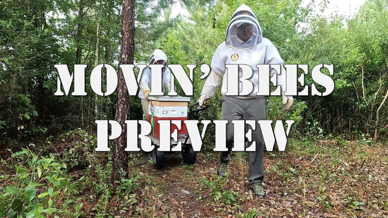 Movin&rsquo; Bees Preview | #colesfarmnc #jacksonvillenc #beekeeping