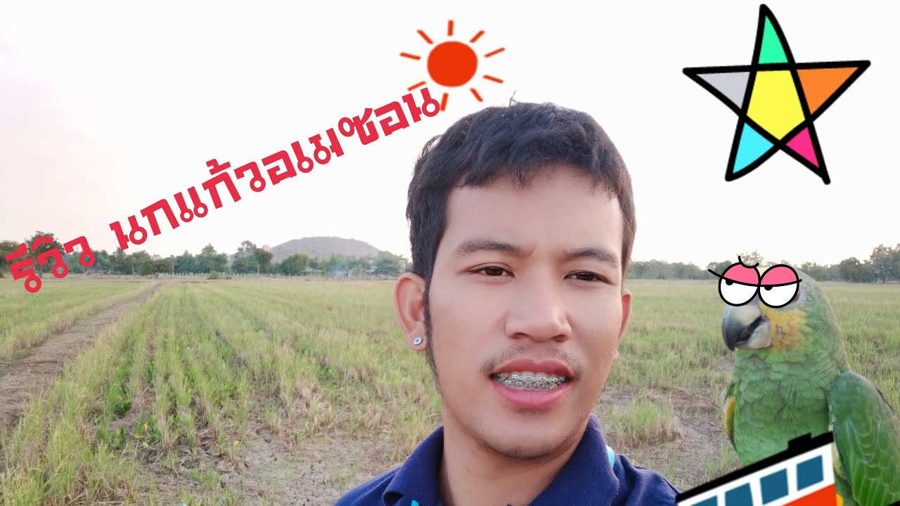 #รีวิว นกแก้วอเมซอน ออเร้นวิ้ง