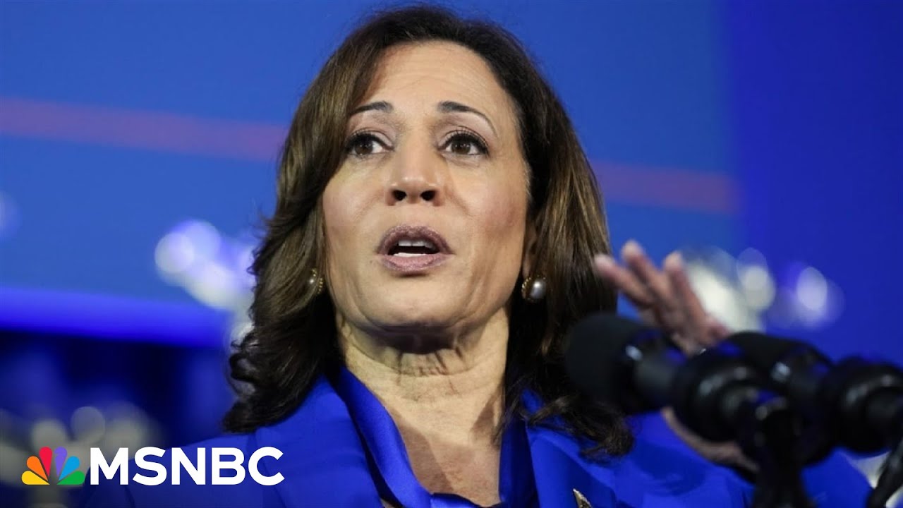 Republicans 'will do anything' to keep Harris off the ballot: Rep. Doggett