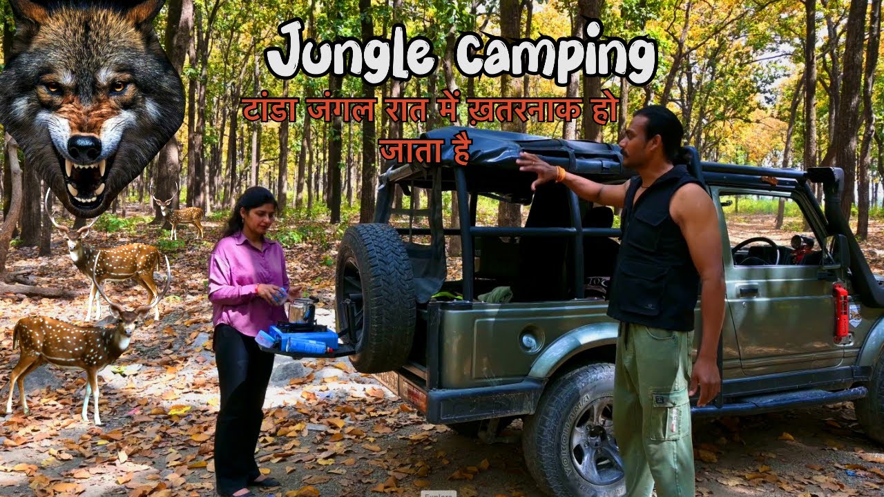 Jungle Camping | टांडा जंगल की रात | Night Safari | Car Camping