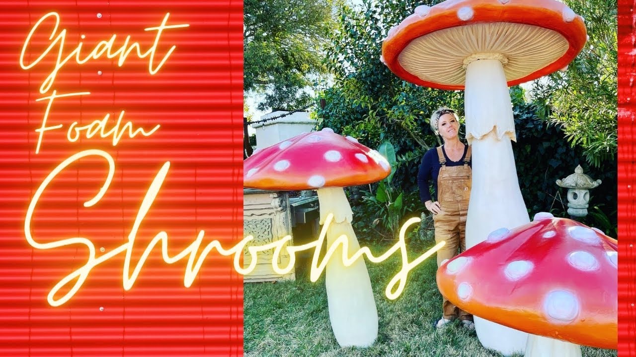 Time lapse foam mushrooms