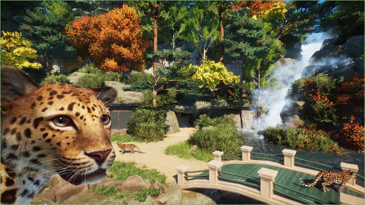 🐆 Amur leopard habitat with cave viewing | Quaco Zoo | Planet Zoo | speedbuild 🌻