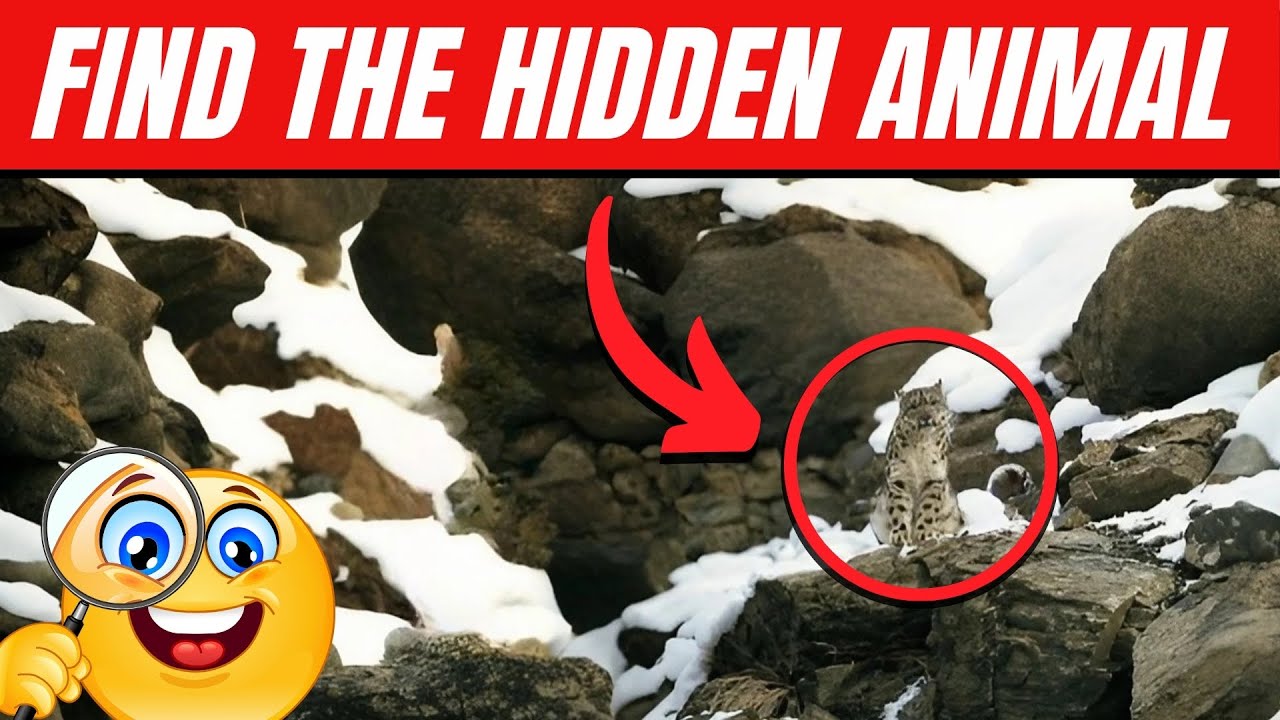 Find the Hidden Animals # 4
