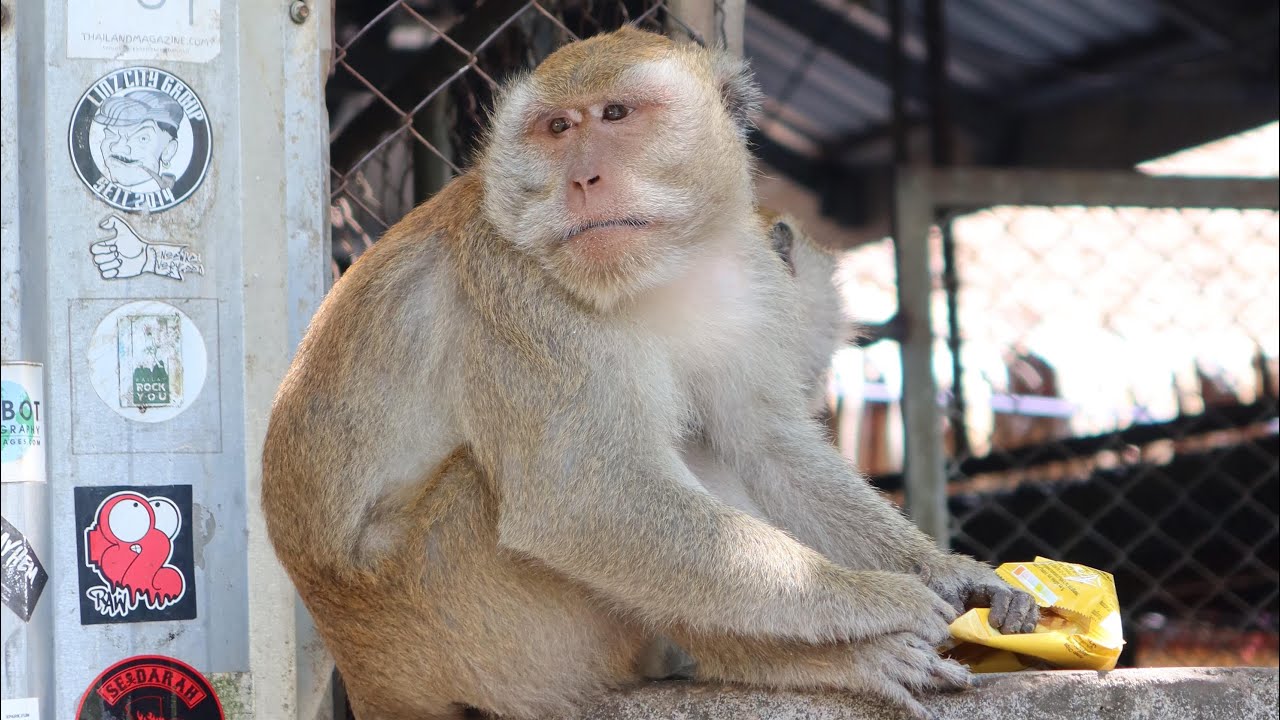 Spending 24 hours in Phuket & our first day in Ao Nang