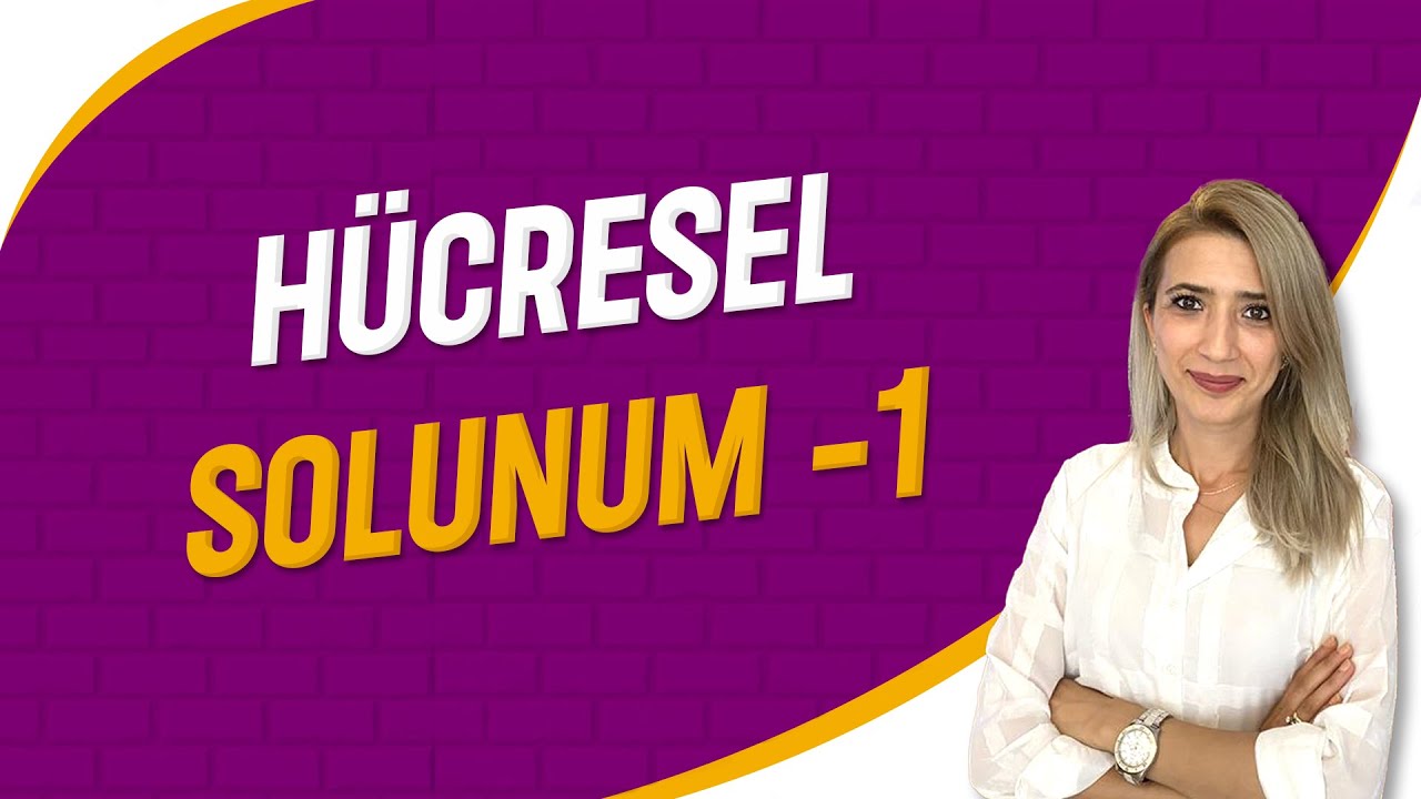 Hücresel Solunum  - 1 | Seda Hoca Biyoloji ( 29. Ders ) #sedahocabiyoloji #ayt2023