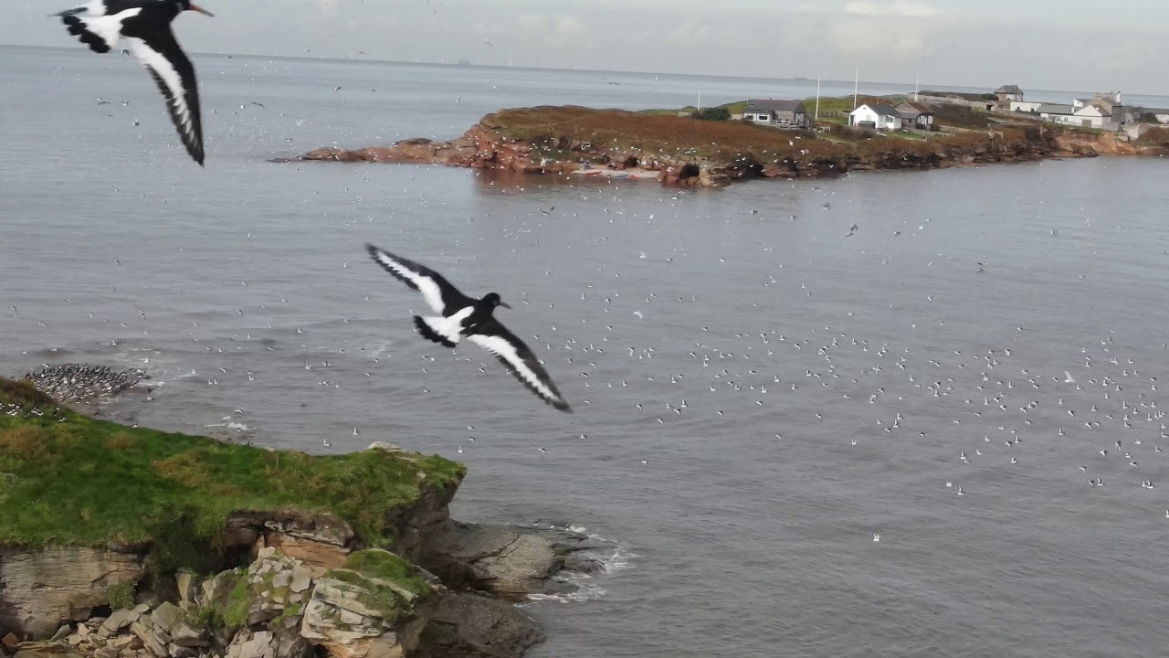 Hilbre Island & Little Eye By Drone