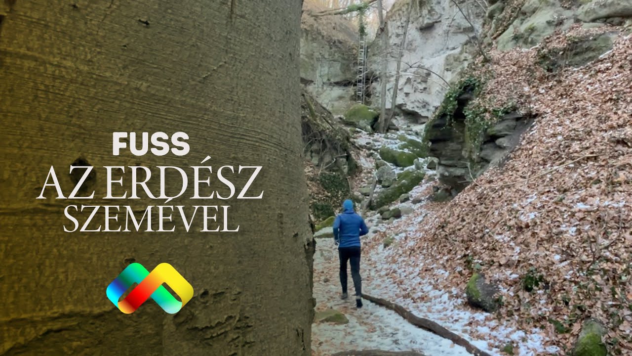 FUSS AZ ERDÉSZ SZEMÉVEL - Interjú a program ötletgazdájával (Futóútvonal a Holdvilág-árok mentén)