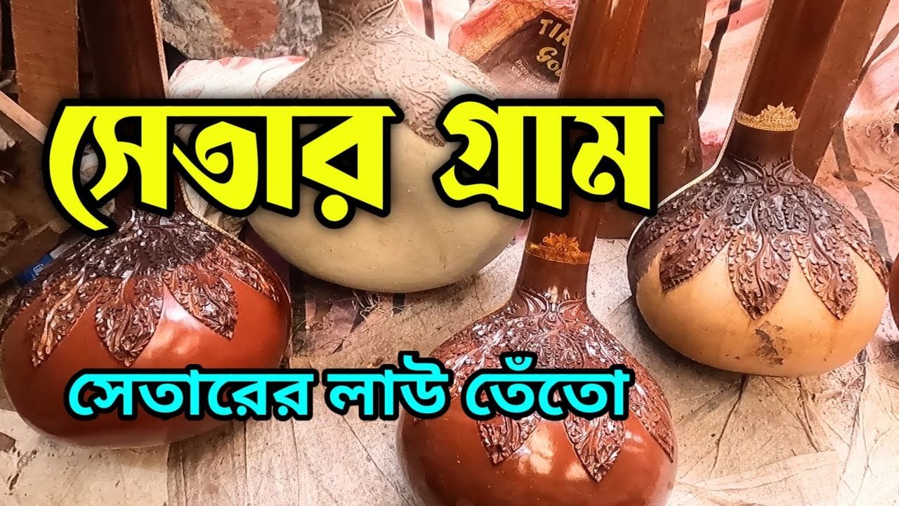 ভালো কোয়ালিটির সেতার, তানপুরা, সরোদ, সন্তুর, এস্রাজ কিনতে, এই গ্রামে আপনাকে আসতেই হবে || Setar Sitar