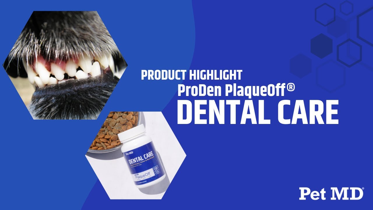 Get To Know Our Dental Care ProDen PlaqueOff