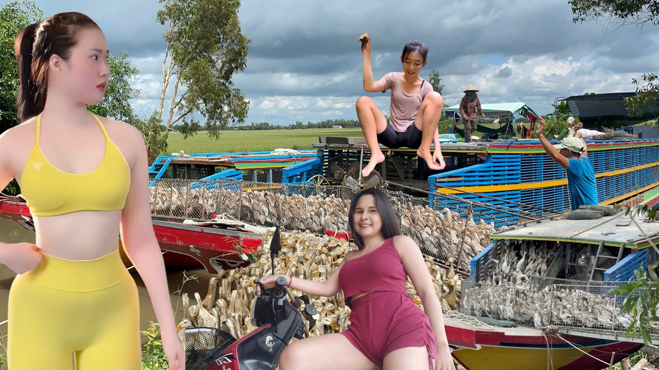 Full Video:Massive Duck Farming Operation Powered by Trucks and Boats Across Rural Vietnam”Farm Life