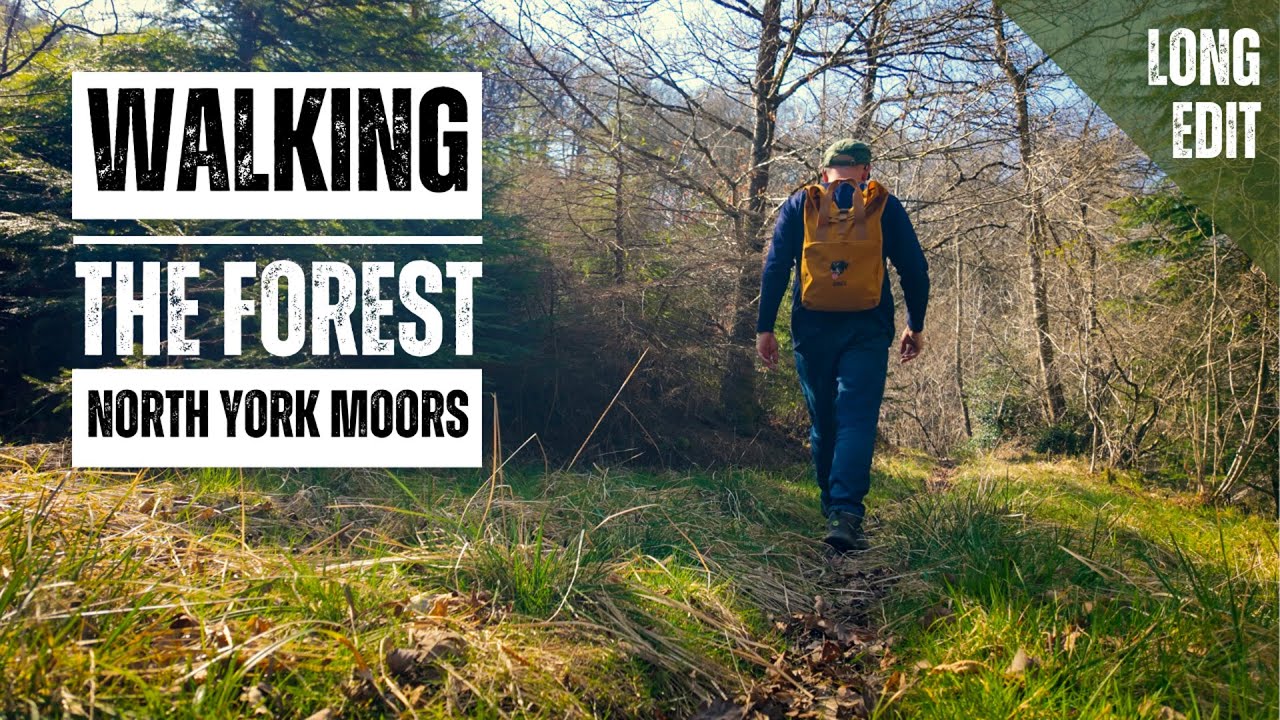 UK Forest Walk: Exploring the North York Moors | Turn on Captions [cc]