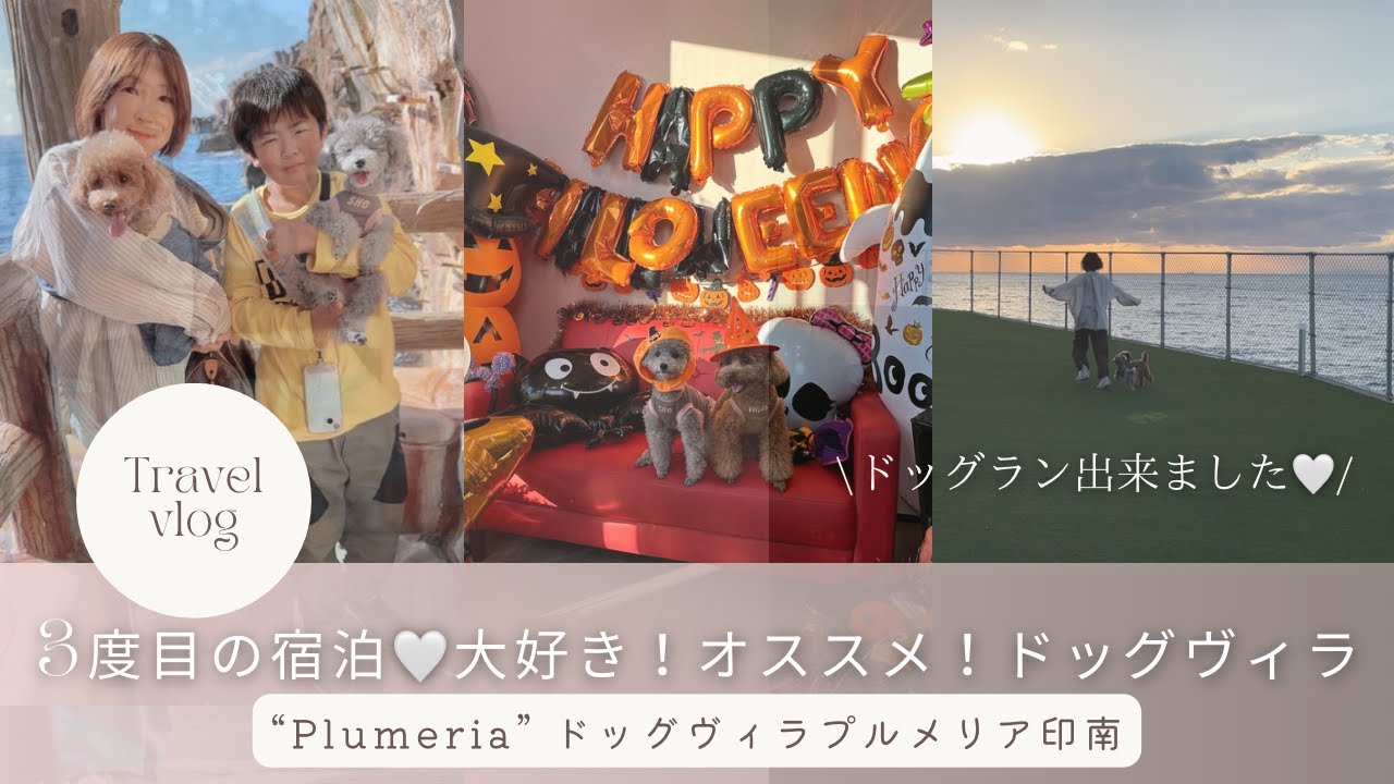 【Vlog】大好きなドッグヴィラに最高のドッグランが出来ました♡【プルメリア印南】