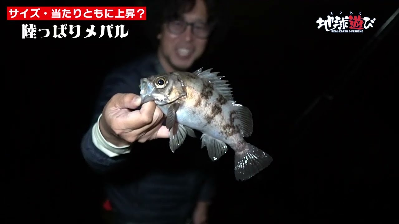 【春メバル】ここからなのか？一気に良くなってくる予報の陸っぱりメバル【地球遊び271】