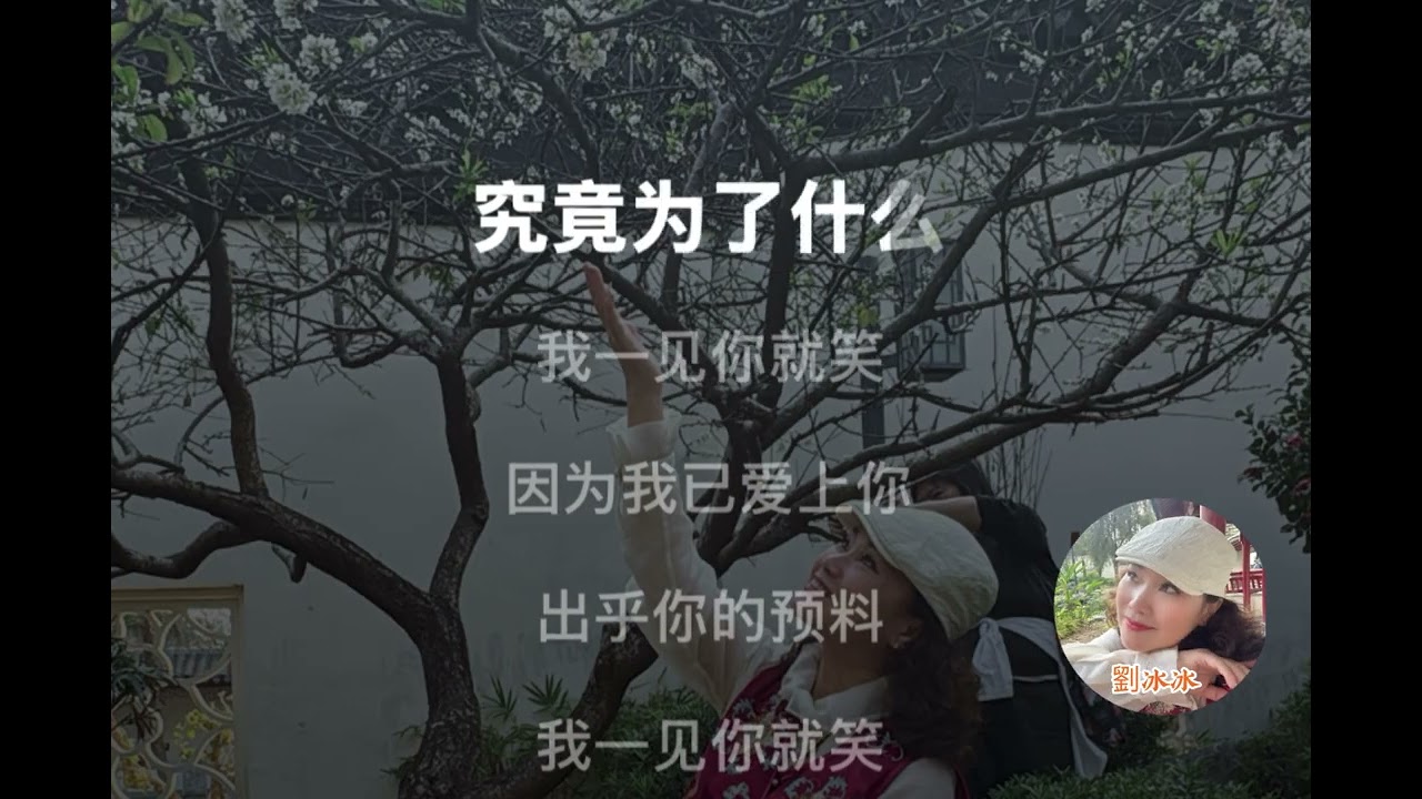 愛你愛在心坎里+一見你就笑+情人橋（伴奏）