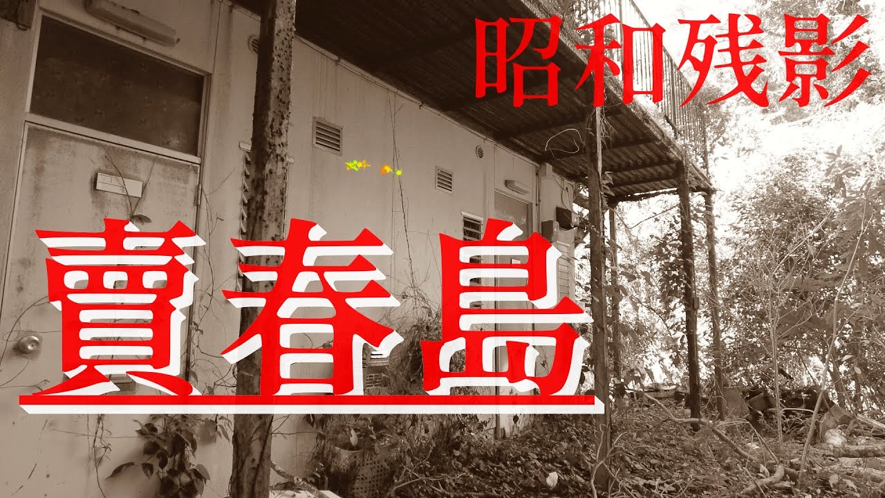 【渡鹿野島】曾以風俗業為支柱產業的三重縣小島.近四成島民為性工作者.