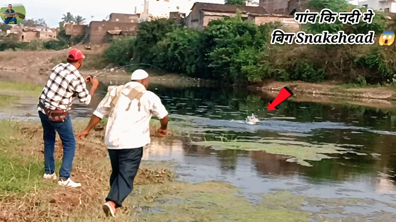 😱 First Time in Village River! Big Size Snakehead Fish Attack 😳 Jabardast Shikar🎣