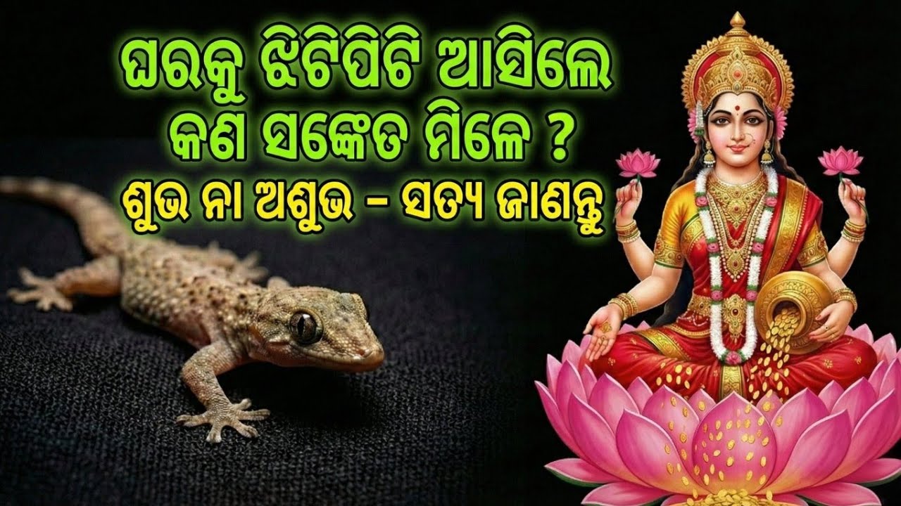 ଘରକୁ ଝିଟିପିଟି ଆସିଲେ କଣ ସଙ୍କେତ ମିଳେ? ଶୁଭ ନା ଅଶୁଭ – ସତ୍ୟ ଜାଣନ୍ତୁ