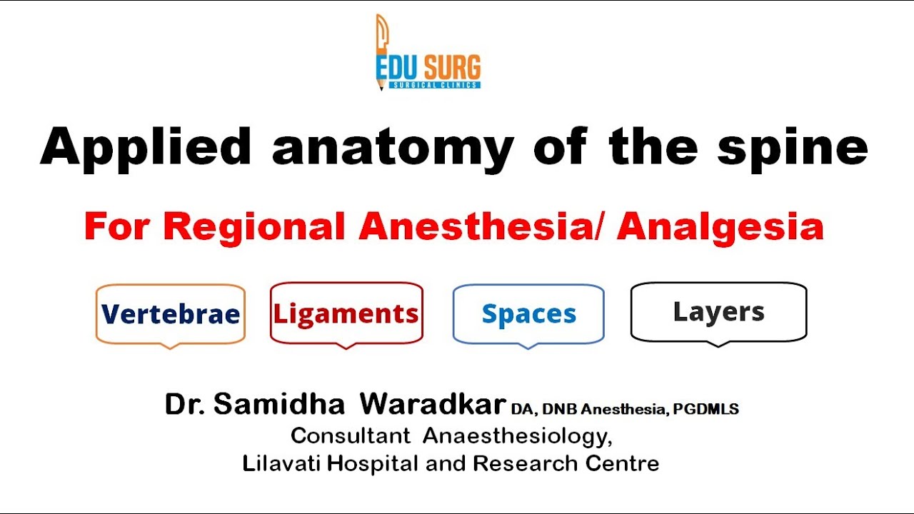 Applied Anatomy of the Spine - For Regional anesthesia and analgesia - Edusurg Clinics