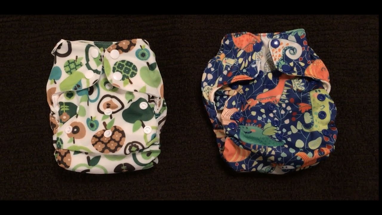 Blueberry Simplex vs. Smart Bottoms Smart One Comparison Review