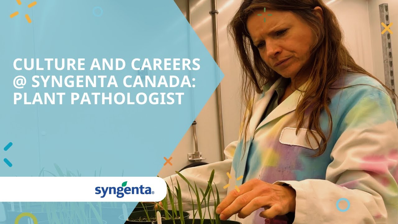 Culture and Careers @ Syngenta Canada: Plant Pathologist