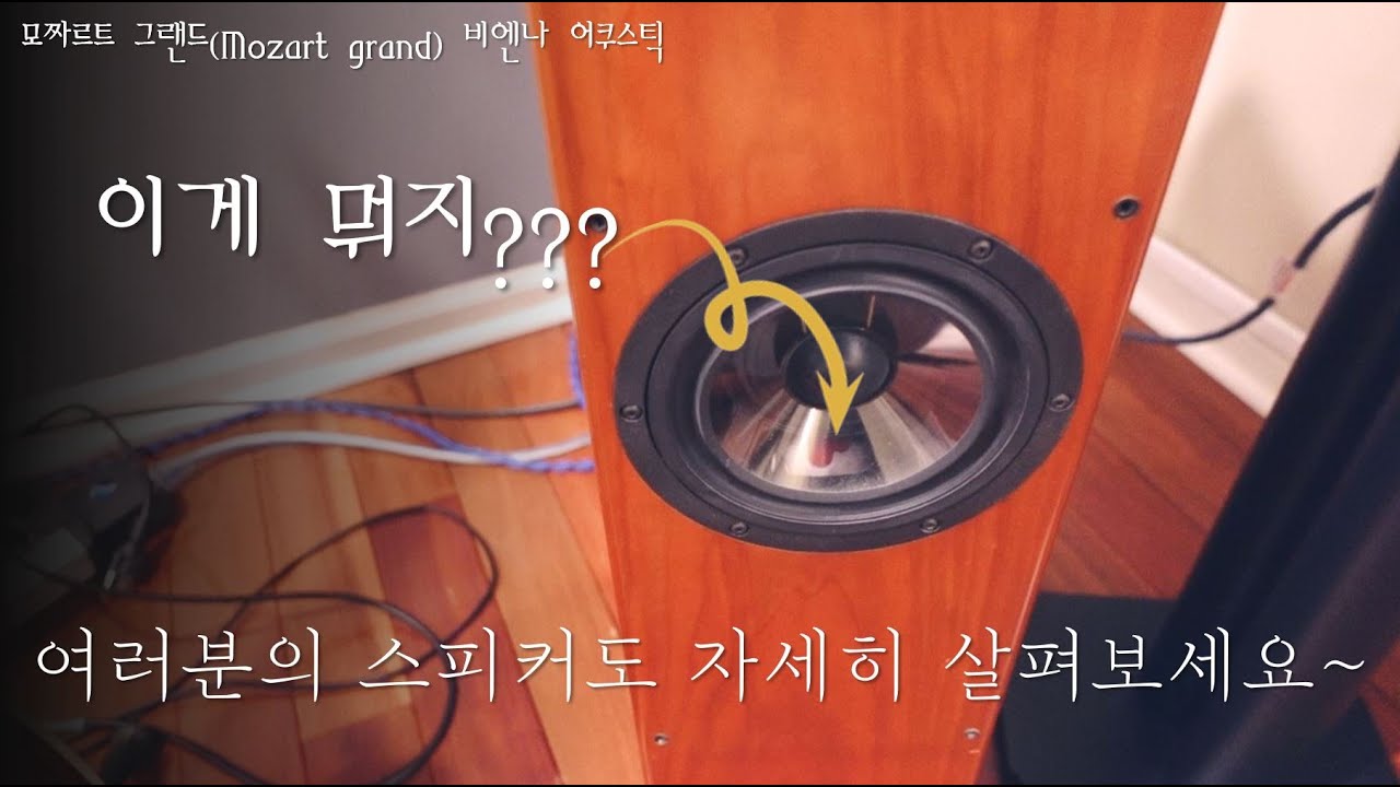 비엔나 어쿠스틱 모짜르트 그랜드 스피커 내부와 미확인 물체 제거 | 오디오를 좋아하는 아빠의 즐거움