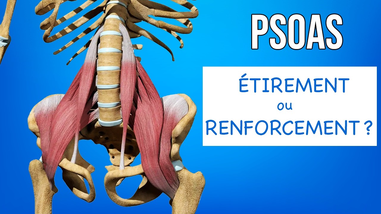 PSOAS : ÉTIREMENT ou RENFORCEMENT ? (Exercices kiné)