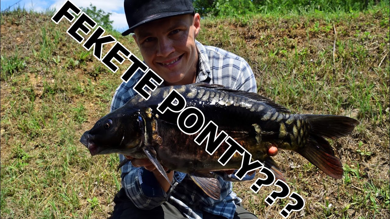 FEKETE PONTY??? || Felszínközeli horgászat Csendesparton