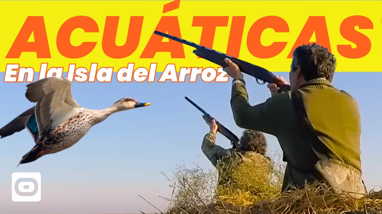 ACUATICAS EN LA ISLA DEL ARROZ