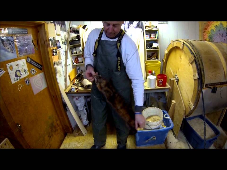 Серия Fur Master — вытачивание и пересадка куниц