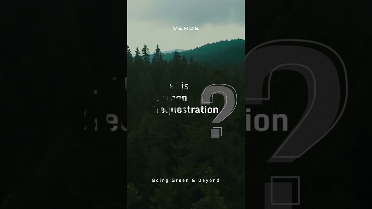 What is Carbon Sequestration