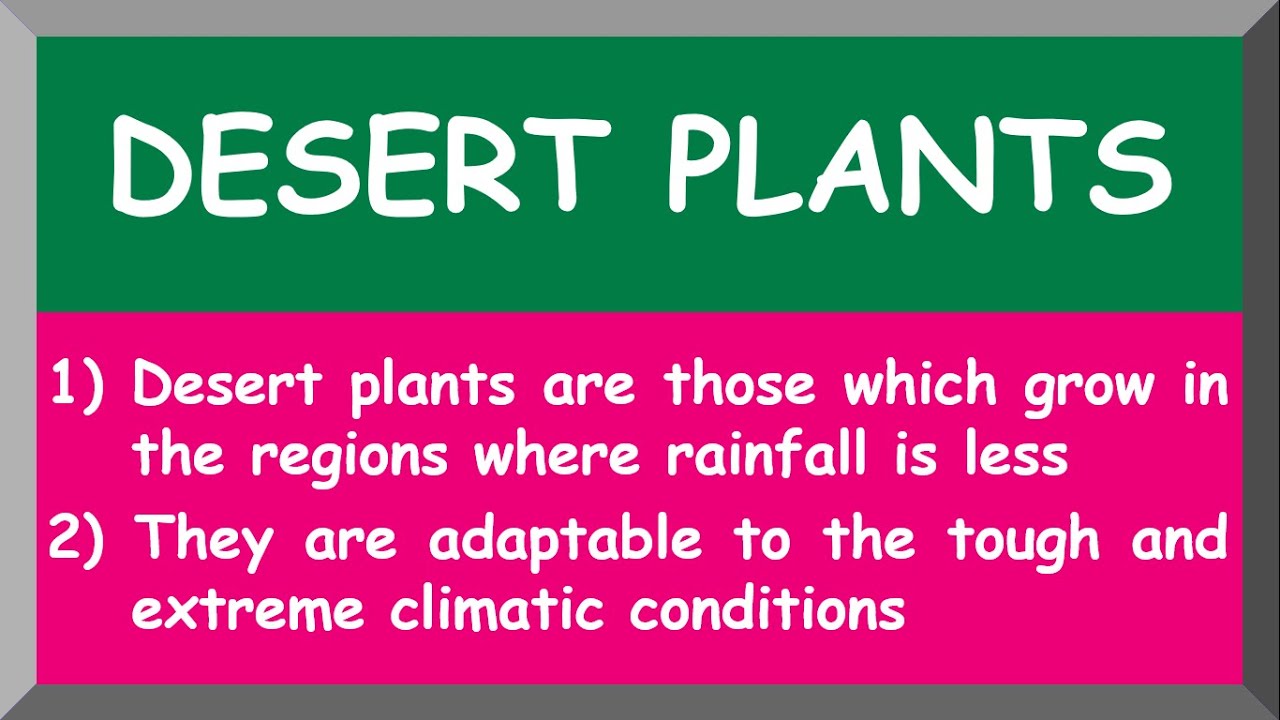 Few Sentences about Desert Plants | 10 Lines on Desert Plants in English