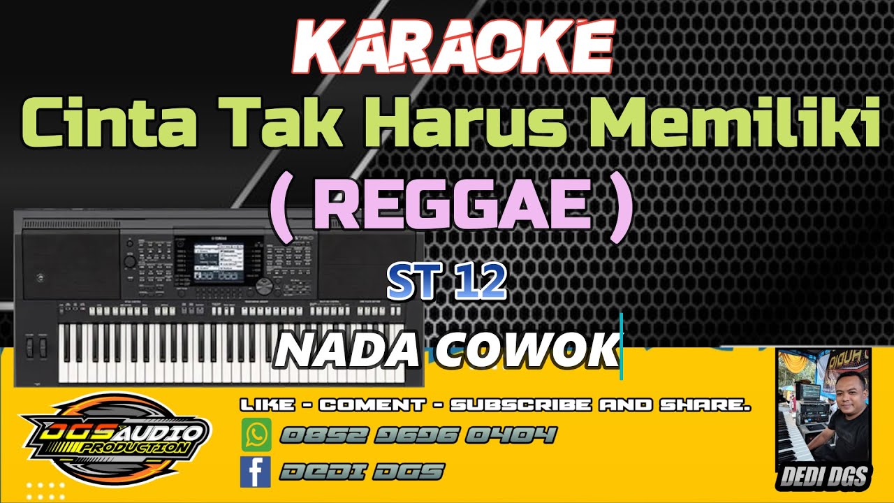 KARAOKE. Cinta Tak Harus Memiliki ( Reggae ) - ST12  - NADA PRIA.- DGS AUDIO 2025.