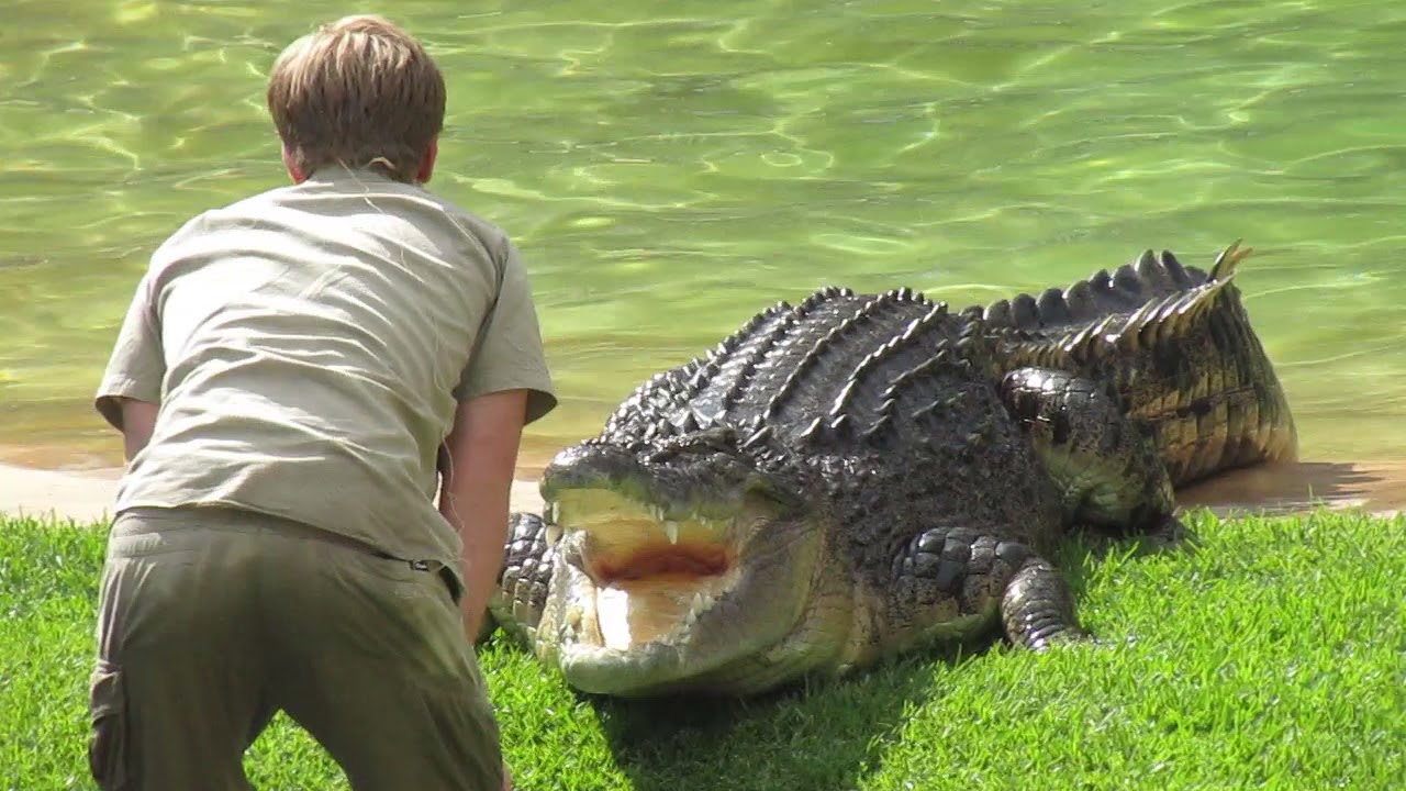 Australia Zoo - Robert Irwin Feeding Murray