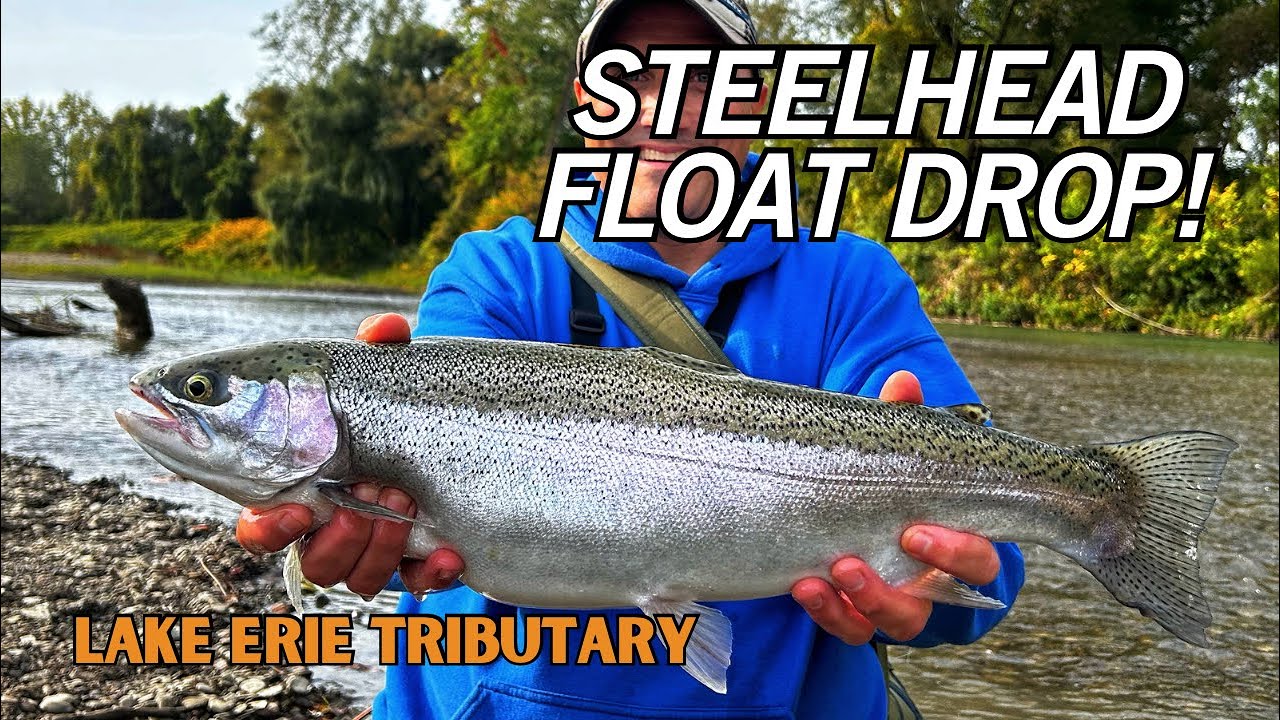Erie Steelhead Float Drop!