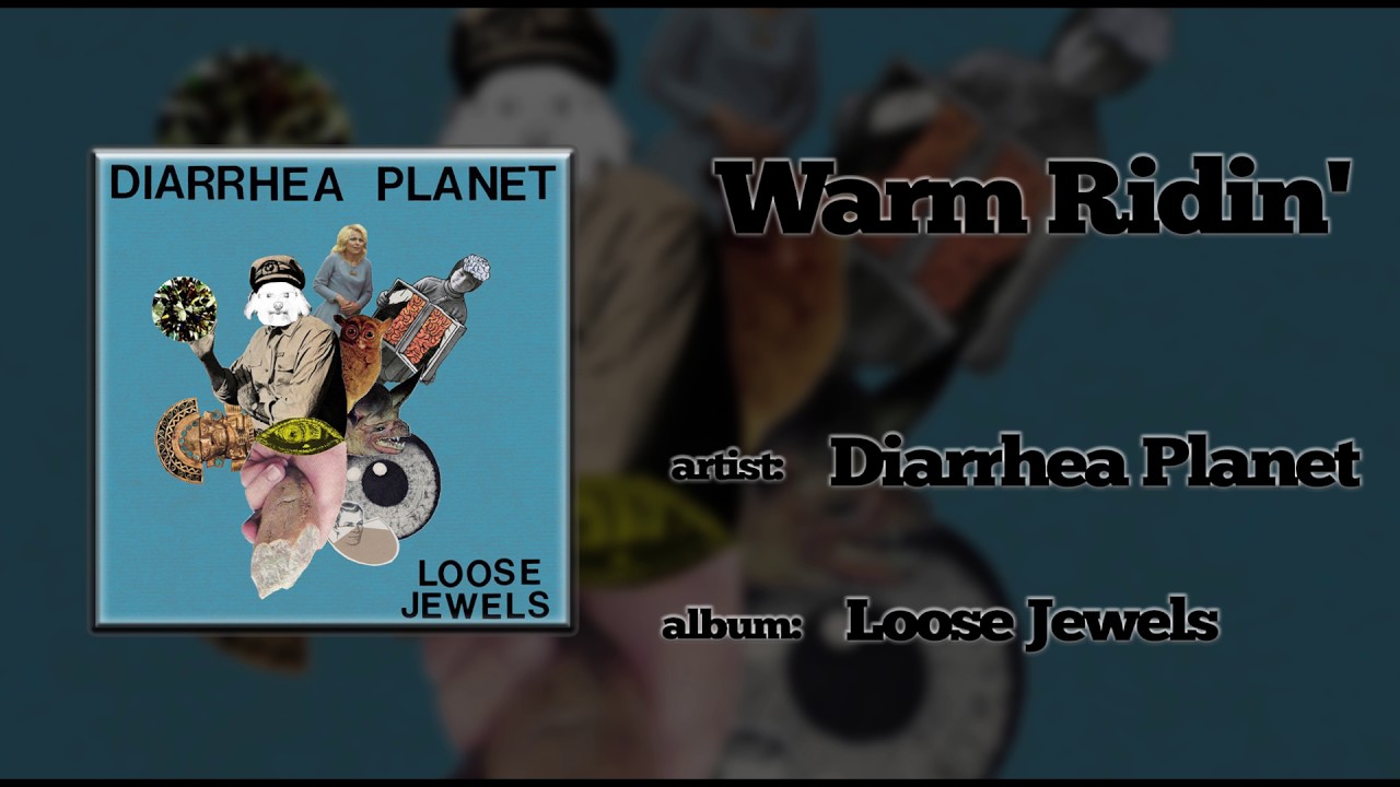 Diarrhea Planet - Warm Ridin' (2011)