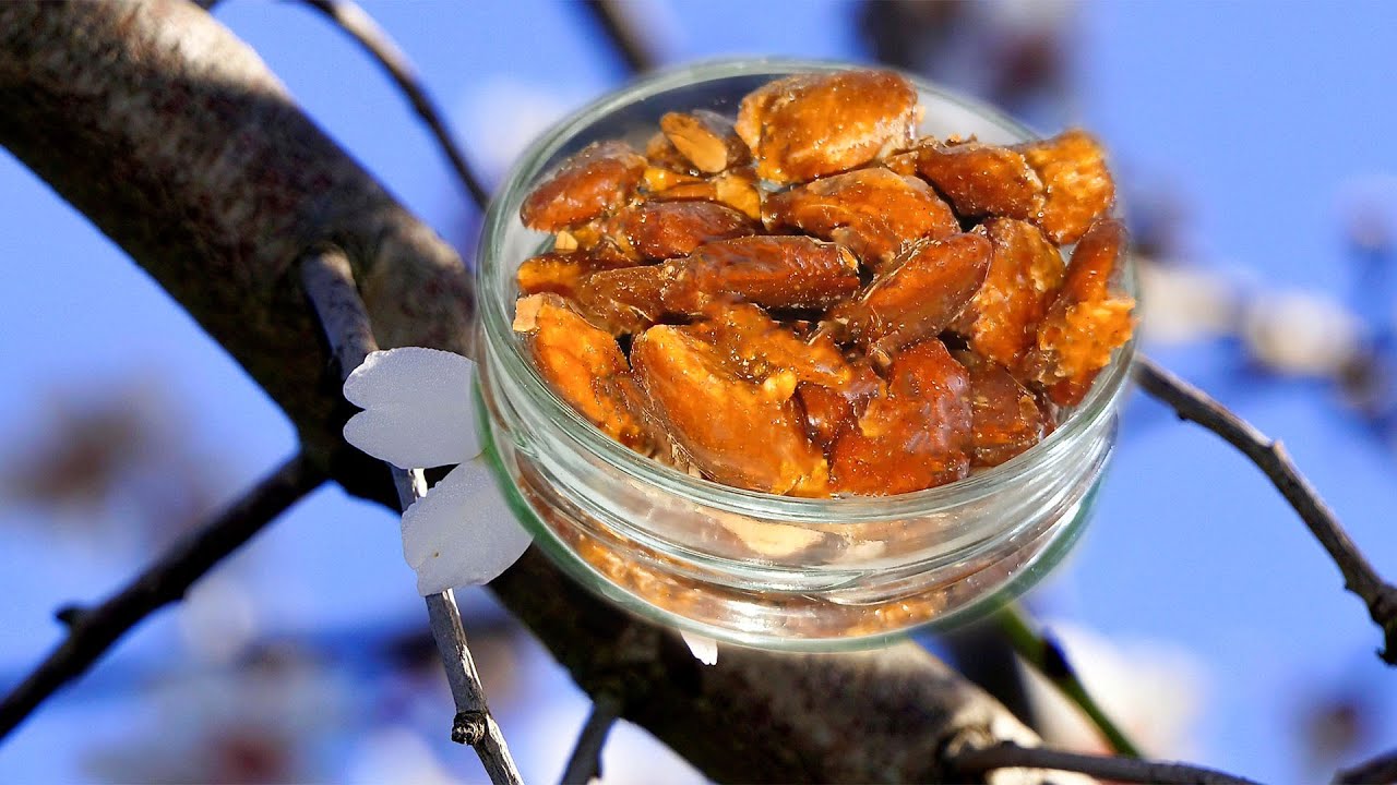 Cómo hacer almendras garrapiñadas caseras