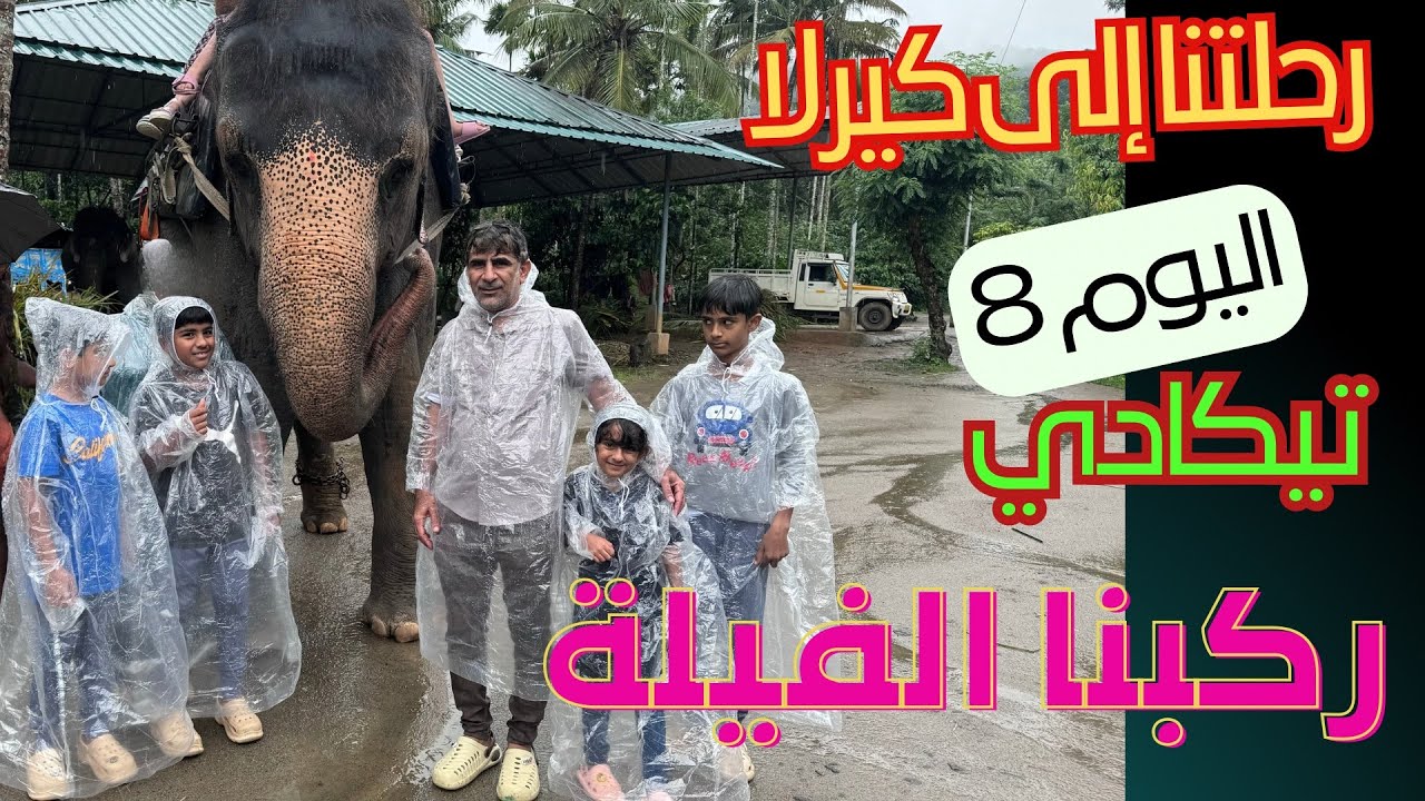 رحلتنا إلى كيرلا - تيكادي - اليوم الثامن - ركوب الفيلة elephant camp