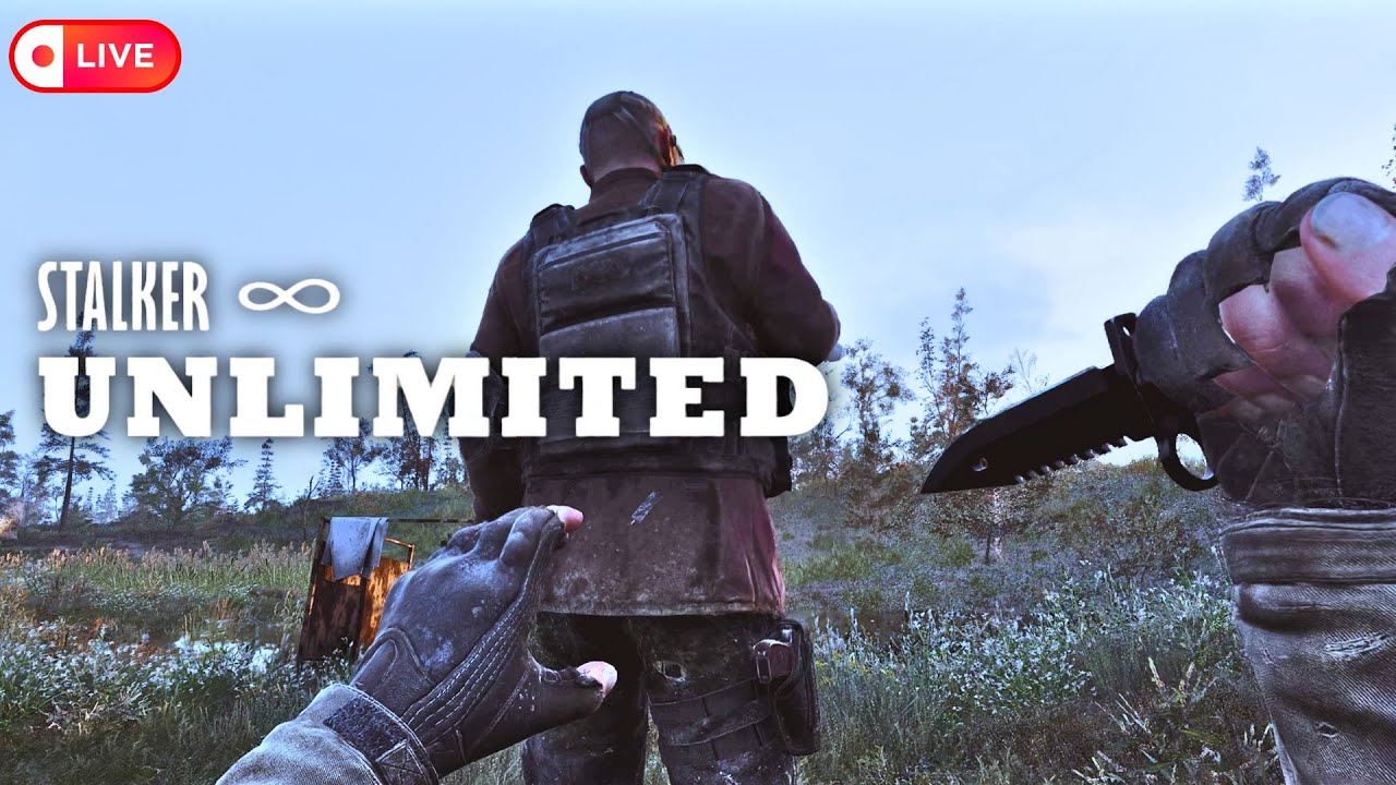 STALKER Unlimited Makes STALKER 2 Truly Hardcore - STALKER 2 Ultra Modded Custom HUD