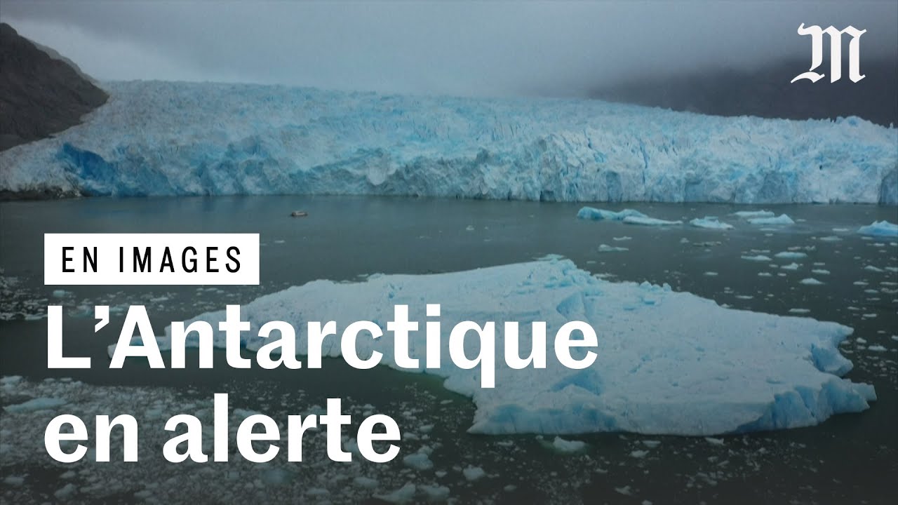 Les glaces de l'Antarctique fondent à leur tour : voilà pourquoi ça nous menace.