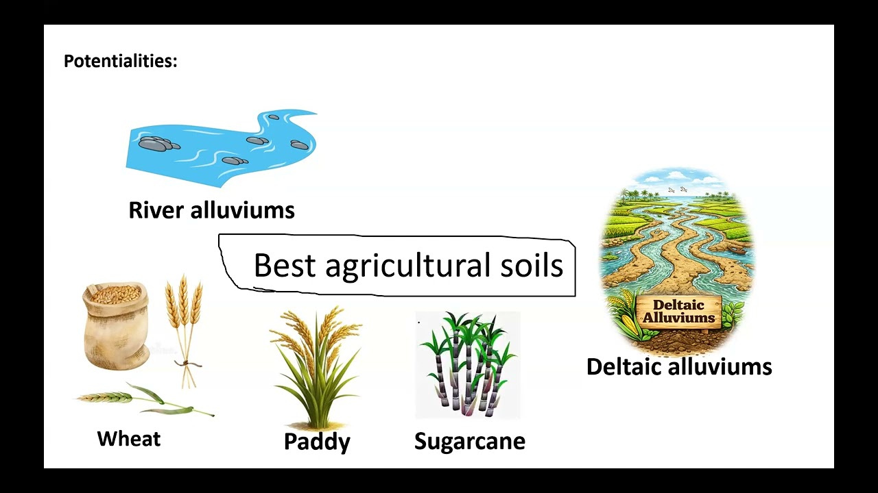 Soils of India #alluvialsoil  #soilformation #soa #agristudent