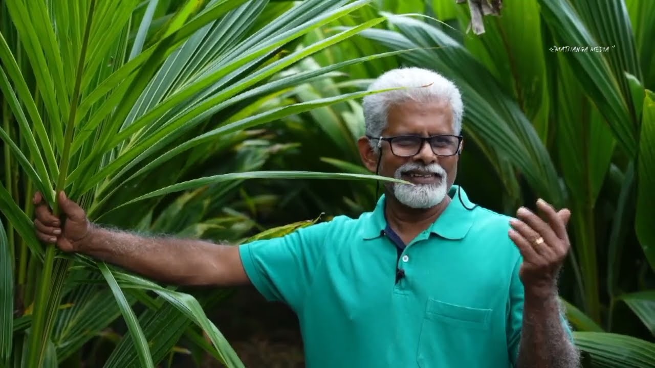 തെങ്ങിൻ തോട്ടത്തിൽ നിന്നും കോടികൾ കൊയ്തപ്പോൾ information 9902821367 lali