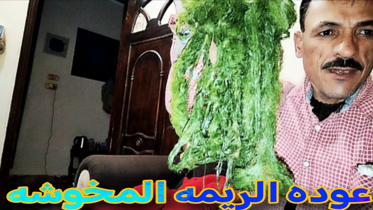 عوده الريمه من جديده و ازاي تنظفها و تحضرها لصيد
