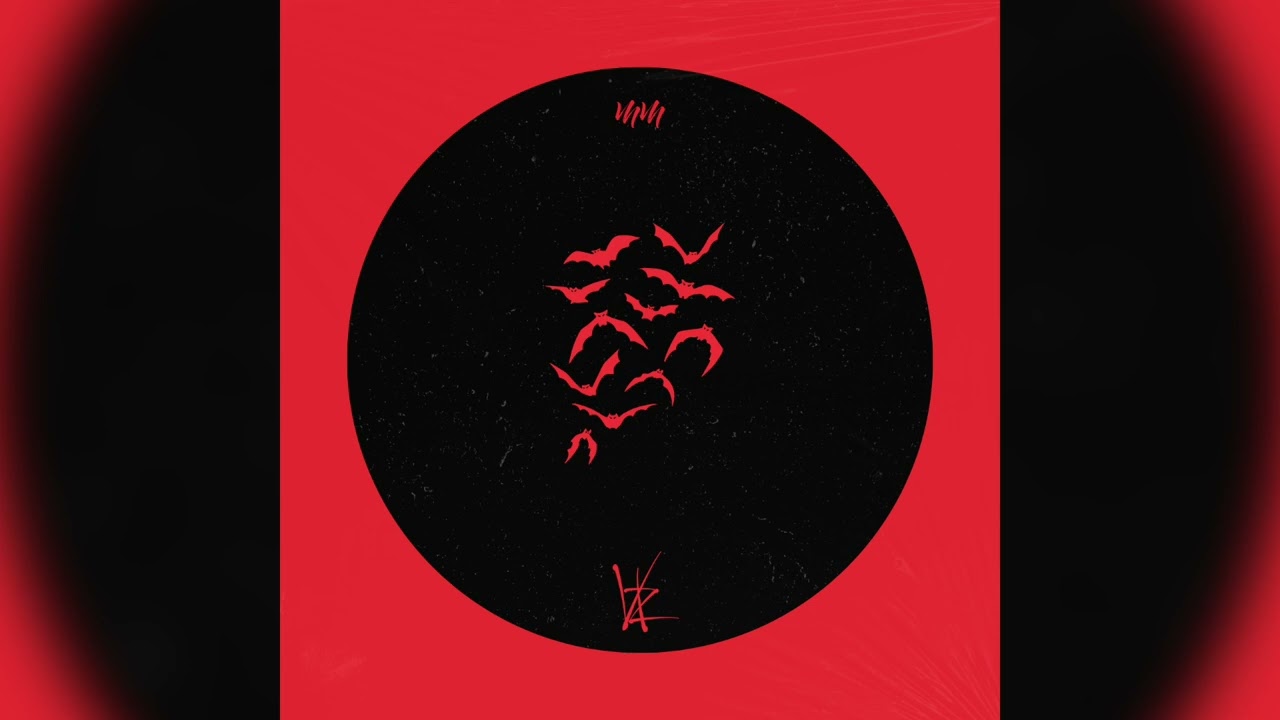 IN THE DARK - VKZ