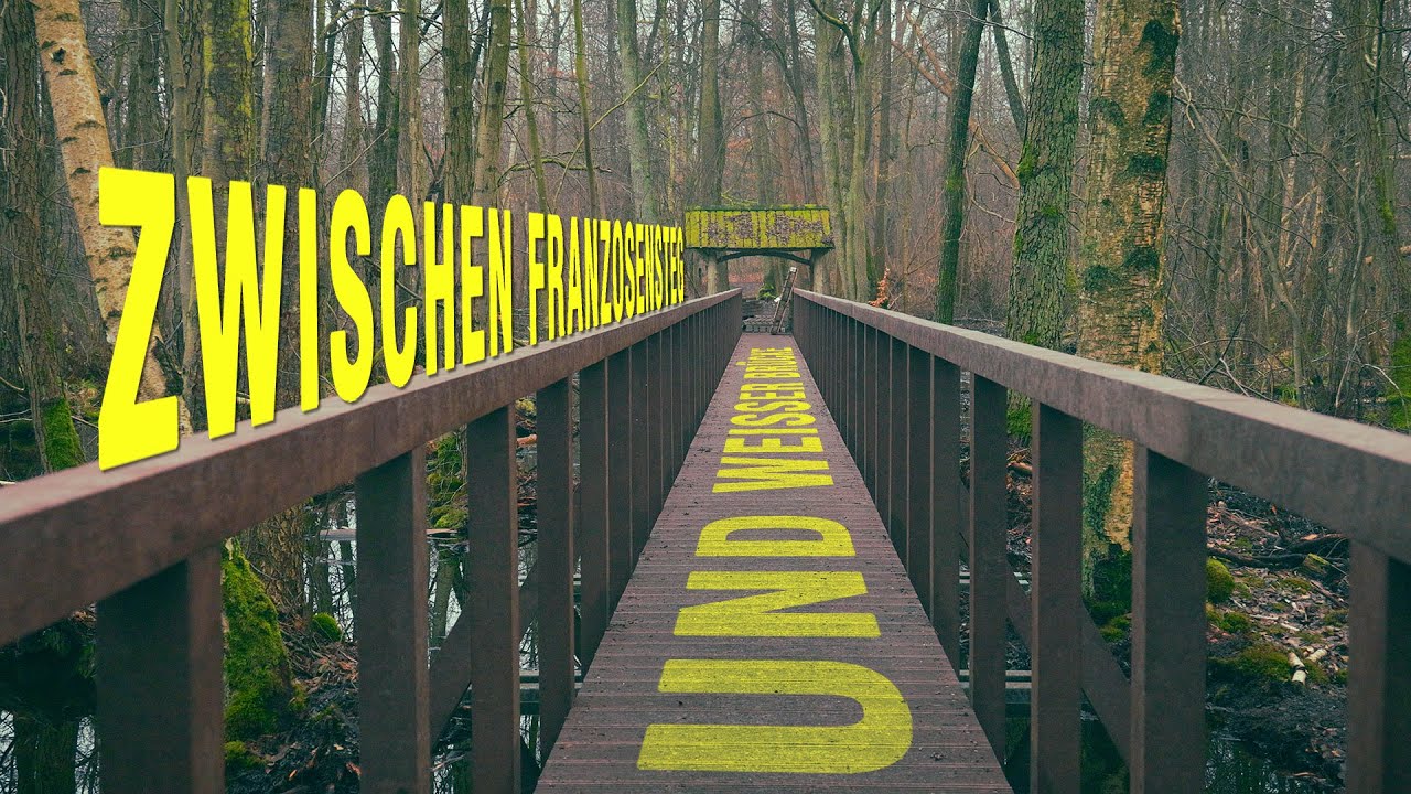 Zwischen Franzosensteg und Weißer Brücke