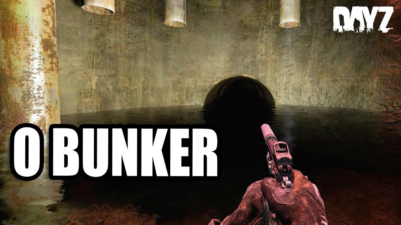 O DIA QUE EU ENTREI NO BUNKER PELA PRIMEIRA VEZ - DayZ