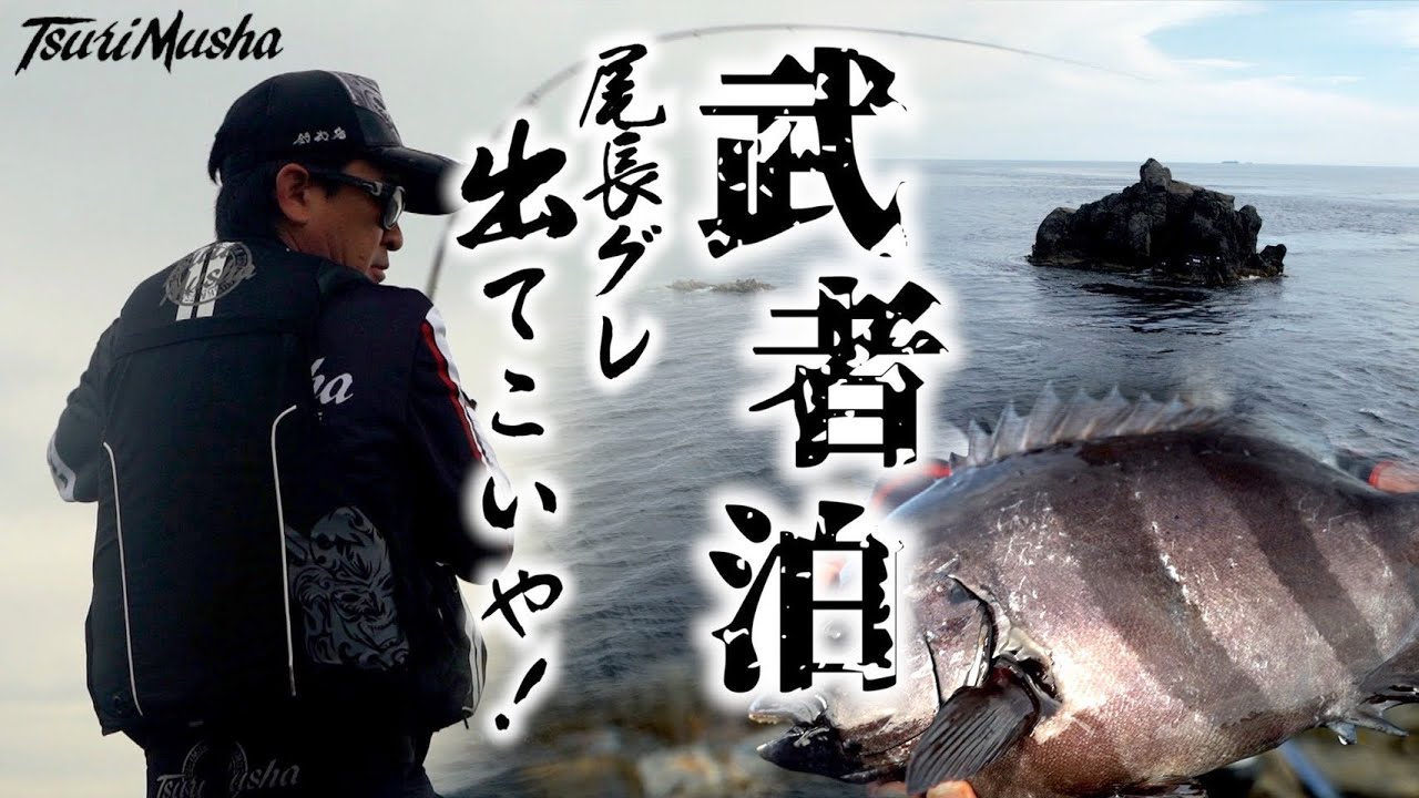 初夏の武者泊！出てこいや尾長グレ！！