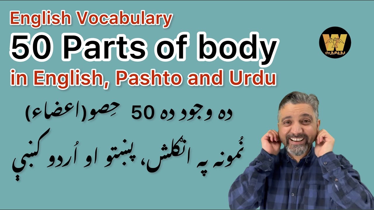 English Vocabulary: 50 Parts of body in English, Pashto and Urdu