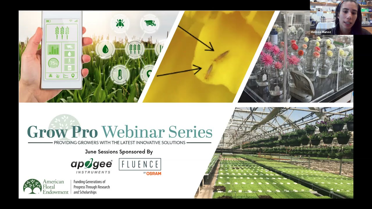 Grow Pro Series: Optimizing LED Lighting for Flower Crops, Part 1