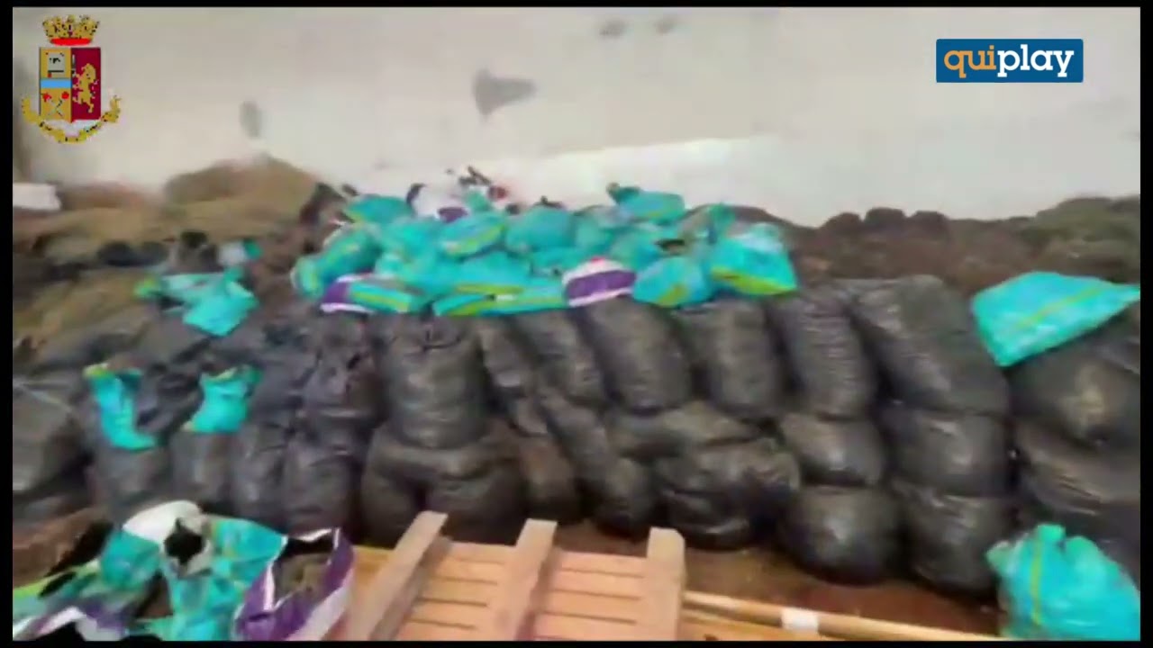 Blitz tra Rossano e Cariati, 4 arresti e sequestrati 241 chili di marijuana